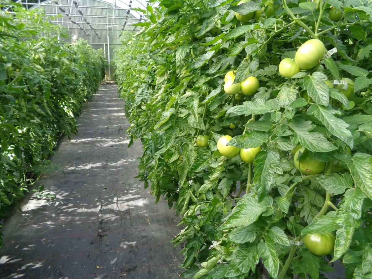 Agroturismo Araize 蒙希亚 外观 照片